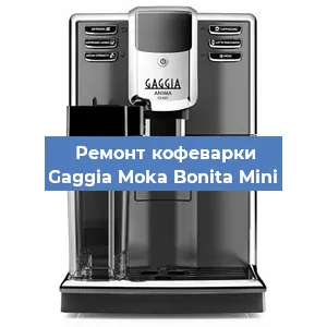 Чистка кофемашины Gaggia Moka Bonita Mini от кофейных масел в Краснодаре